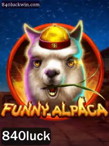 Descubra o Mundo Fascinante de FunnyAlpaca
